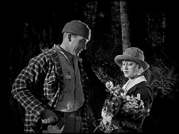 The Valley of the Giants