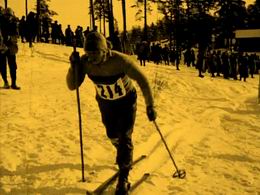 Suomen suojeluskuntajrjest